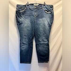 Torrid 24s SHORT/PETITE Jeggings EUC